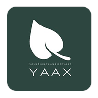 YAAX Group